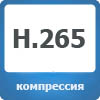 H265.jpg