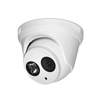 Камера видеонаблюдения IP 2Мп Ps-Link IP302V антивандальная — фото товара
