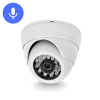 Камера видеонаблюдения IP 2Мп Ps-Link IP302PMX вход для микрофона / питание POE — фото товара