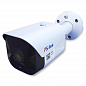 Камера видеонаблюдения WIFI 1Мп Ps-Link TB10